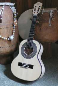 Jan DeWeese banjo teacher